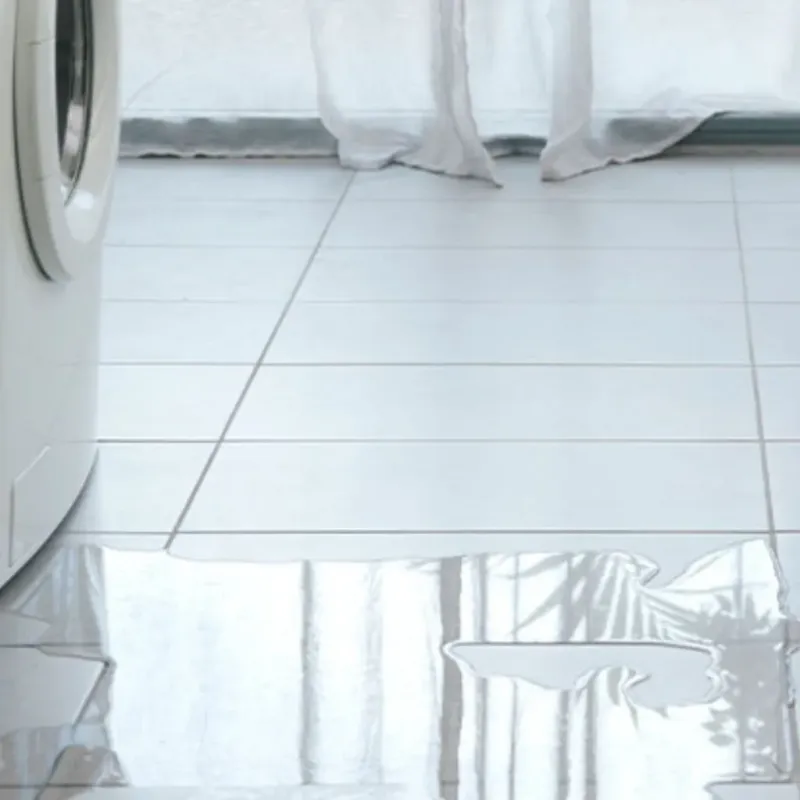 Appliance Leak Cleanup in Marietta, WA