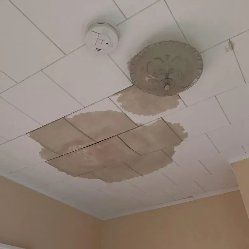 Ceiling Water Damage Repair in Marietta, WA